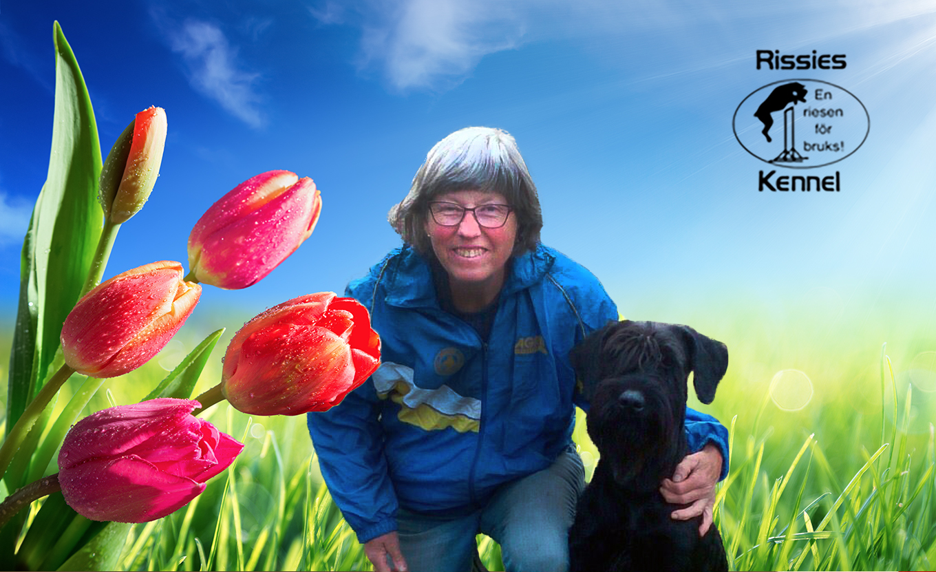 RissiesSpringGreeting