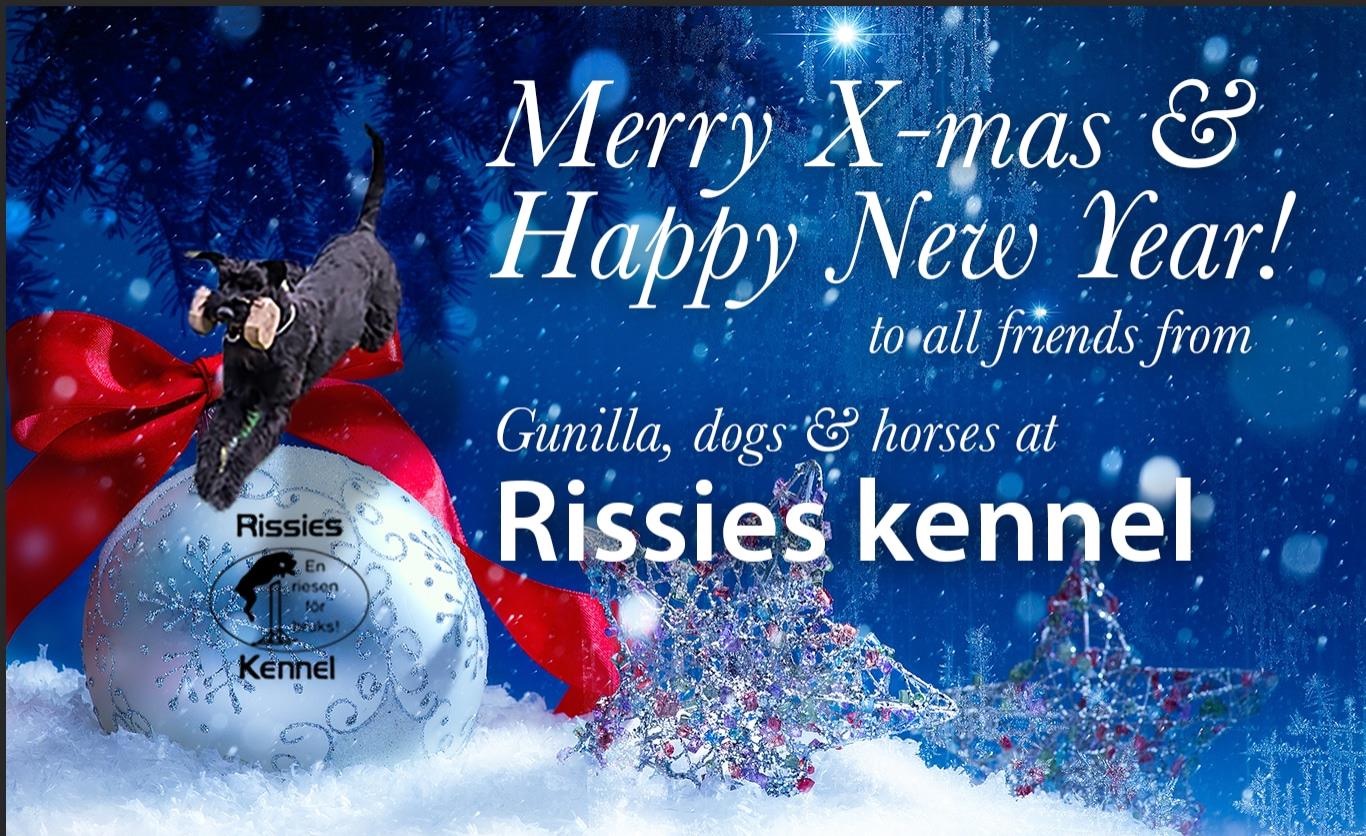 GodJul Rissies