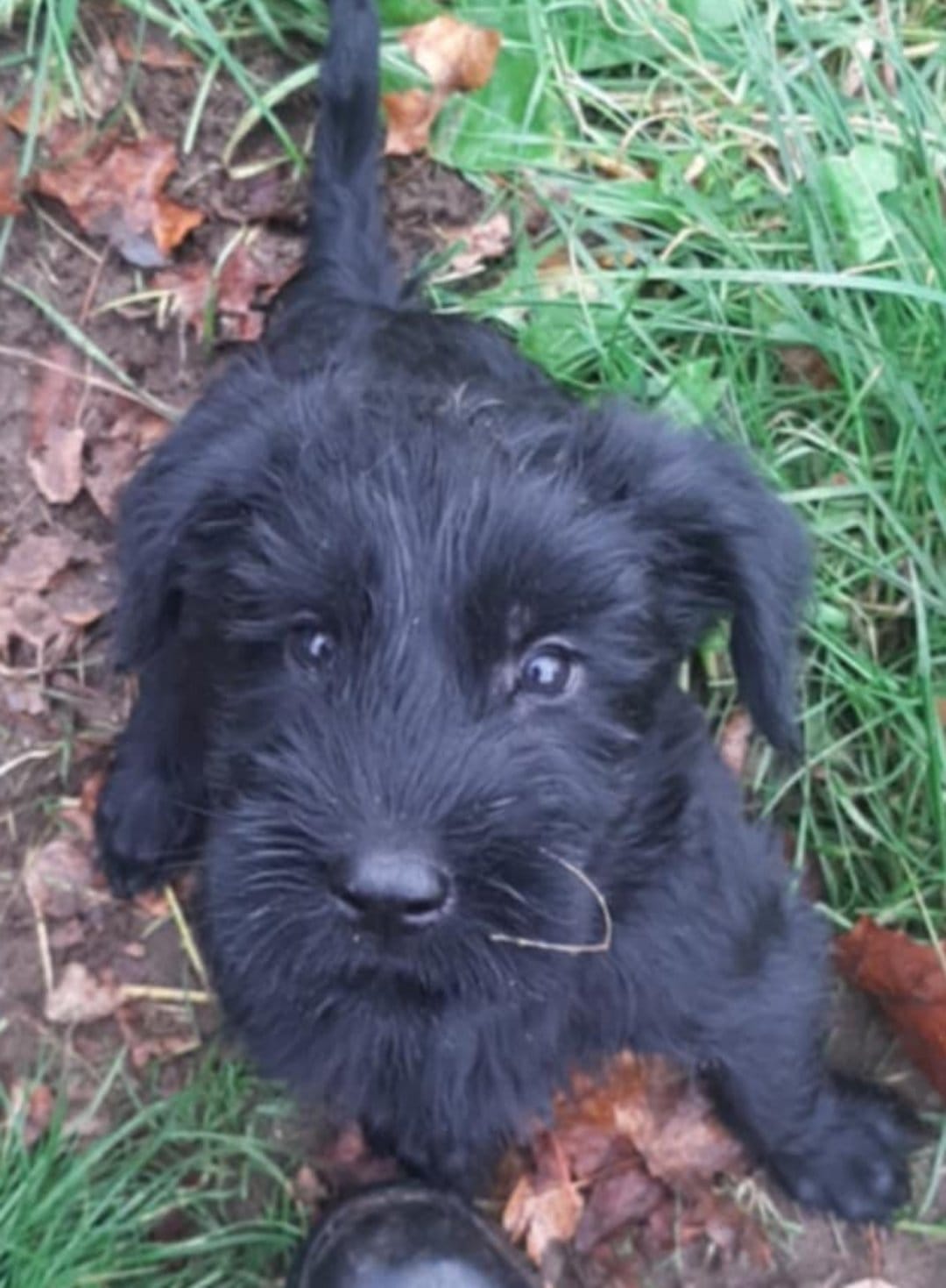 014c272c 3884 4fe9 930f bcbcd8295f34